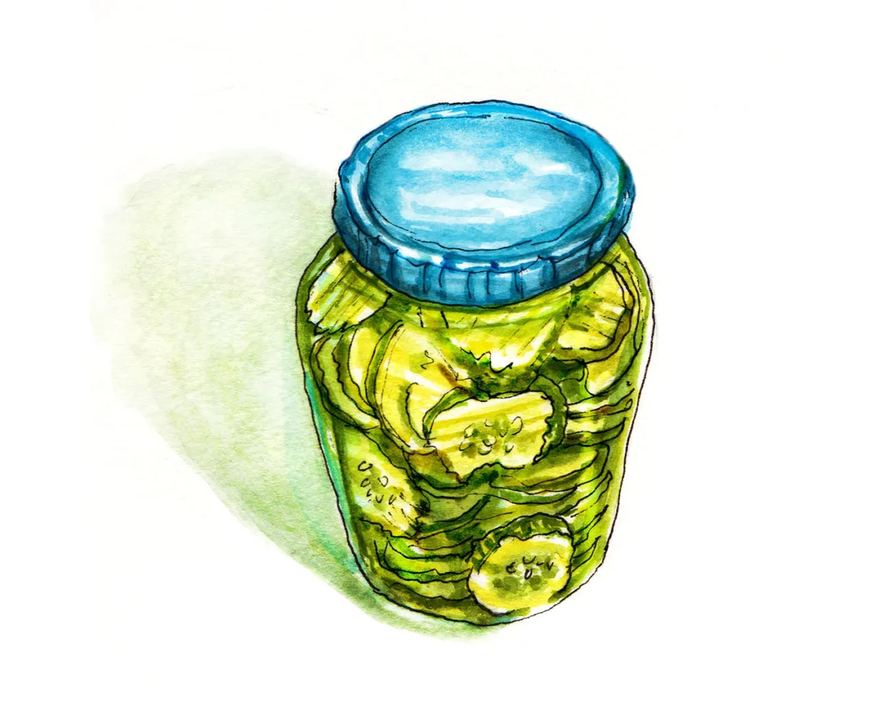 16 Day Pickles