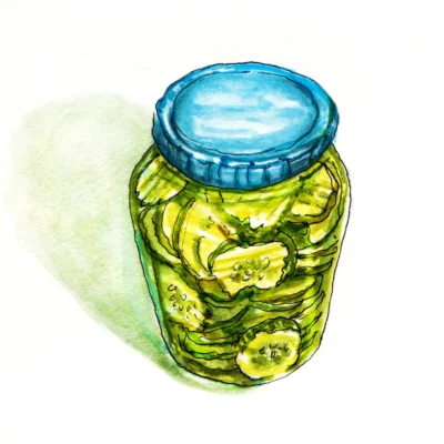 16 Day Pickles