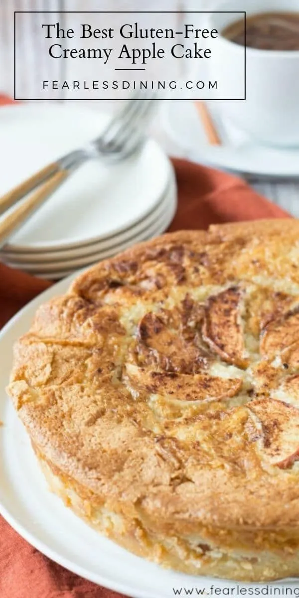 Absolutely Easy Apple Cake