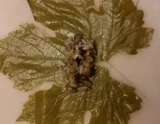 Armenian Stuffed Grape Leaves