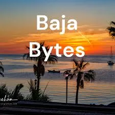 Baja Bites