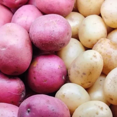 Baked Potato Soup For Grilling Leftovers