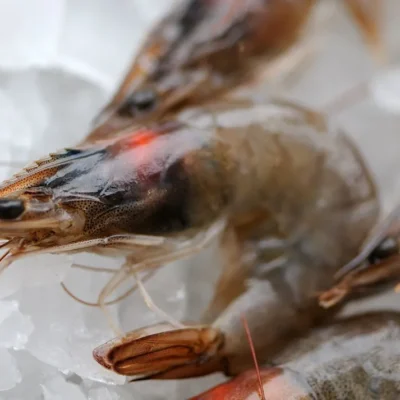 Barbecue Prawn