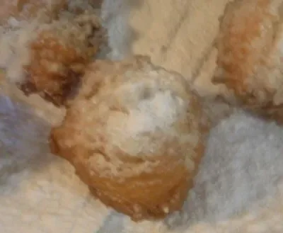 Basic Doughnut Holes