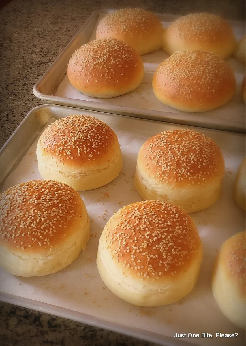 Big Soft Hamburger Buns