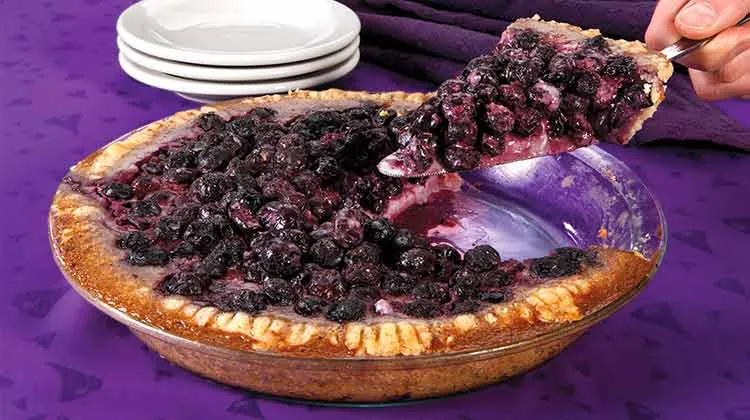 Blueberries And Cream Pie With No Roll Pie Crust