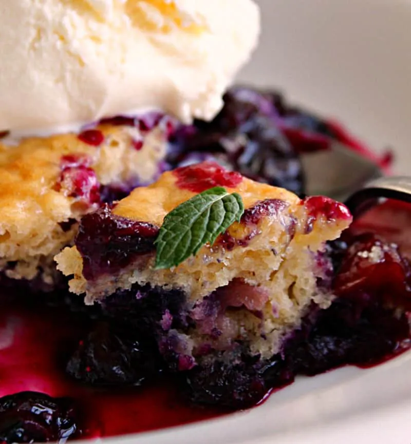 Blueberry And Nectarine Cobbler
