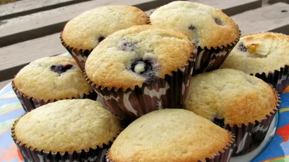 Blueberry Muffins From The Loveless Cafe