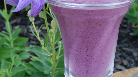 Blueberry Smoothie