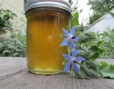 Borage Cucumber Jelly With Ginger