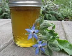 Borage Cucumber Jelly