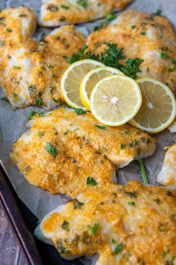 Broiled Parmesan Tilapia Low Carb