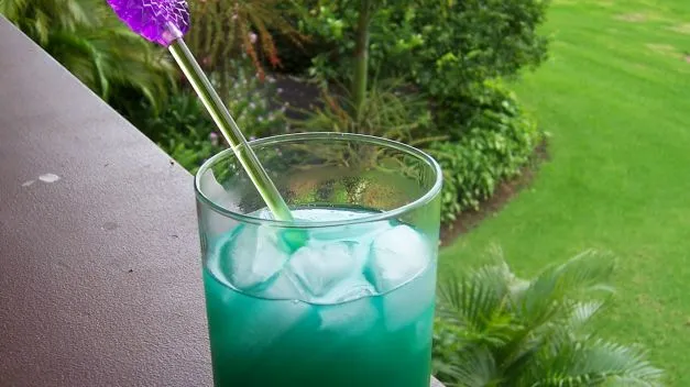 Cactus Cocktail