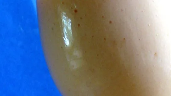 Cantaloupe Dream Smoothie