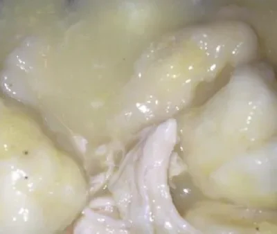 Carolines Quick Chicken And Dumplings