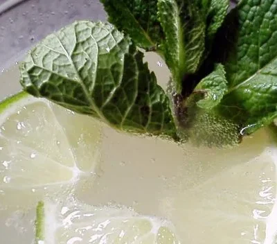 Champagne Mojito