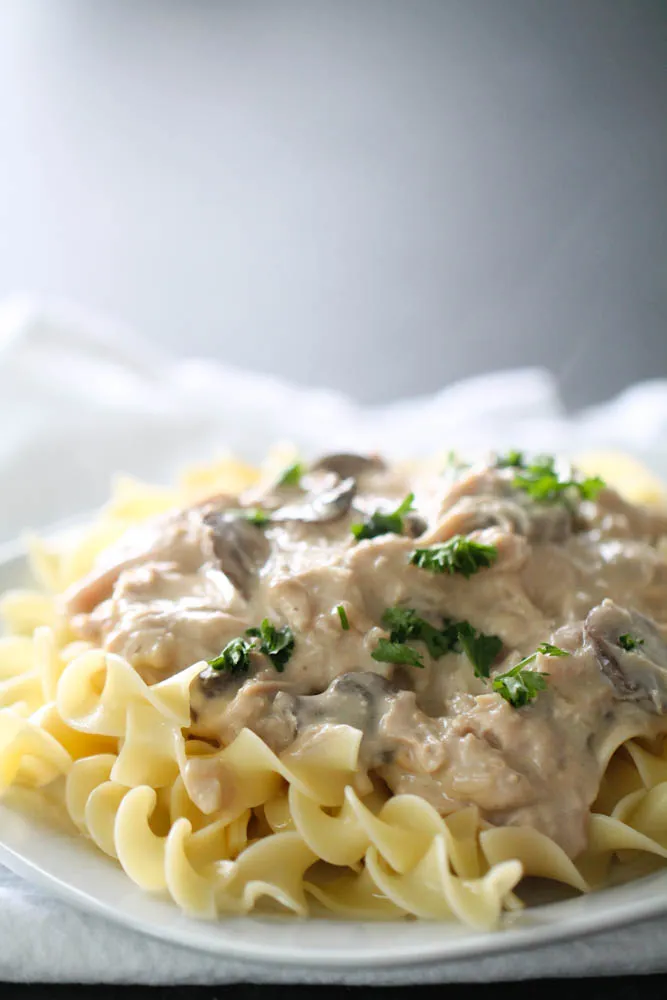 Chicken Stroganoff Crock Pot