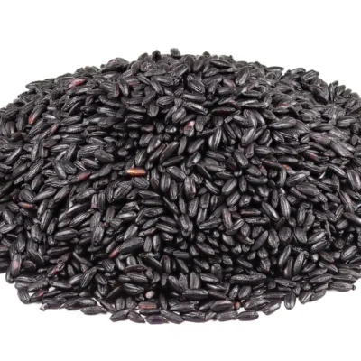 Chinese Black Rice Or Forbidden Rice