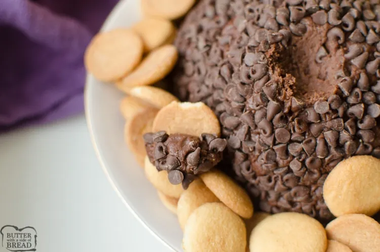Chocolate Chip Cheeseball