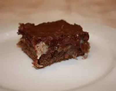 Chocolate Coconut Squares