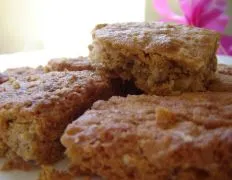 Chocolate Oat Blondies