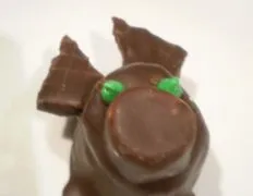 Chocolate Pigs