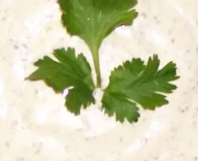 Cilantro Mayonnaise - South Beach Diet