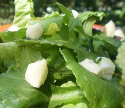 Classic French Green Salad