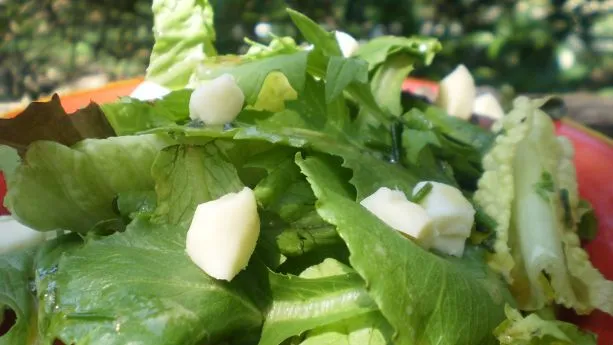 Classic French Green Salad