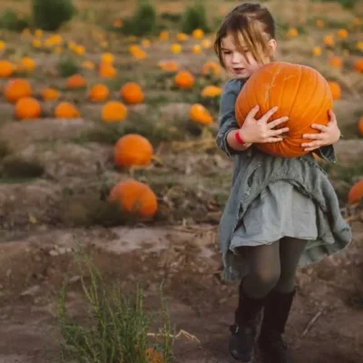 Creamy Pumpkin Soup For Weight Watching People