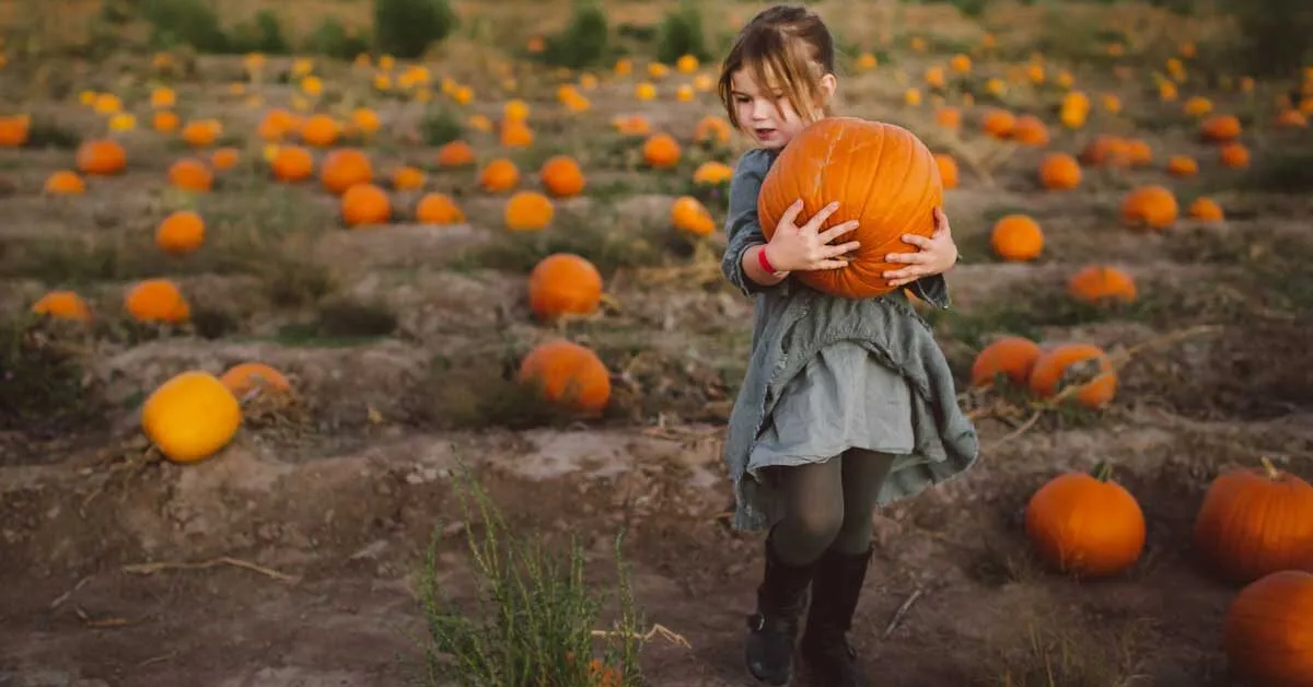 Creamy Pumpkin Soup For Weight Watching People