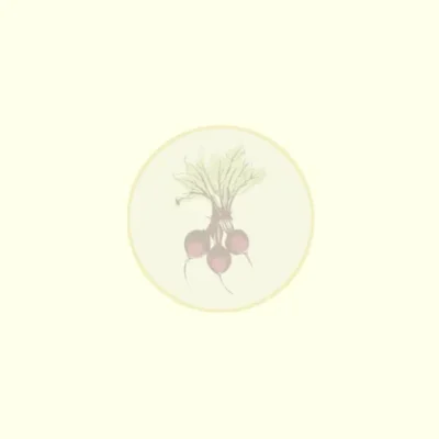 Crisp Apple And Cabbage Slaw Spiral: A Refreshing Side Dish Recipe