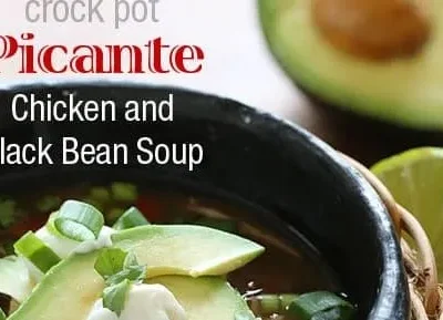 Crock Pot Picante Chicken And Black Bean Soup