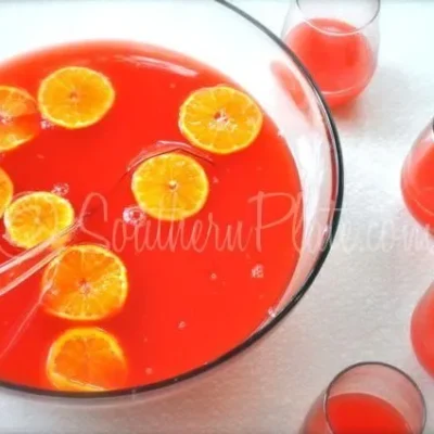 Delicious Zero-Sugar Fruit Punch Delight