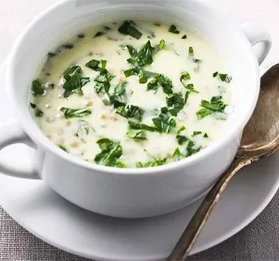 Eastern European Hot Yogurt Soup