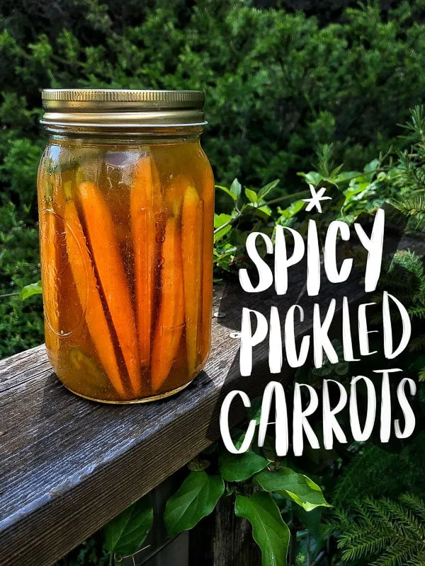 Easy Homemade Zesty Spiced Pickled Carrots Recipe