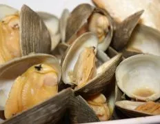 Easy and Flavorful Steamed Clams and Mussels Recipe