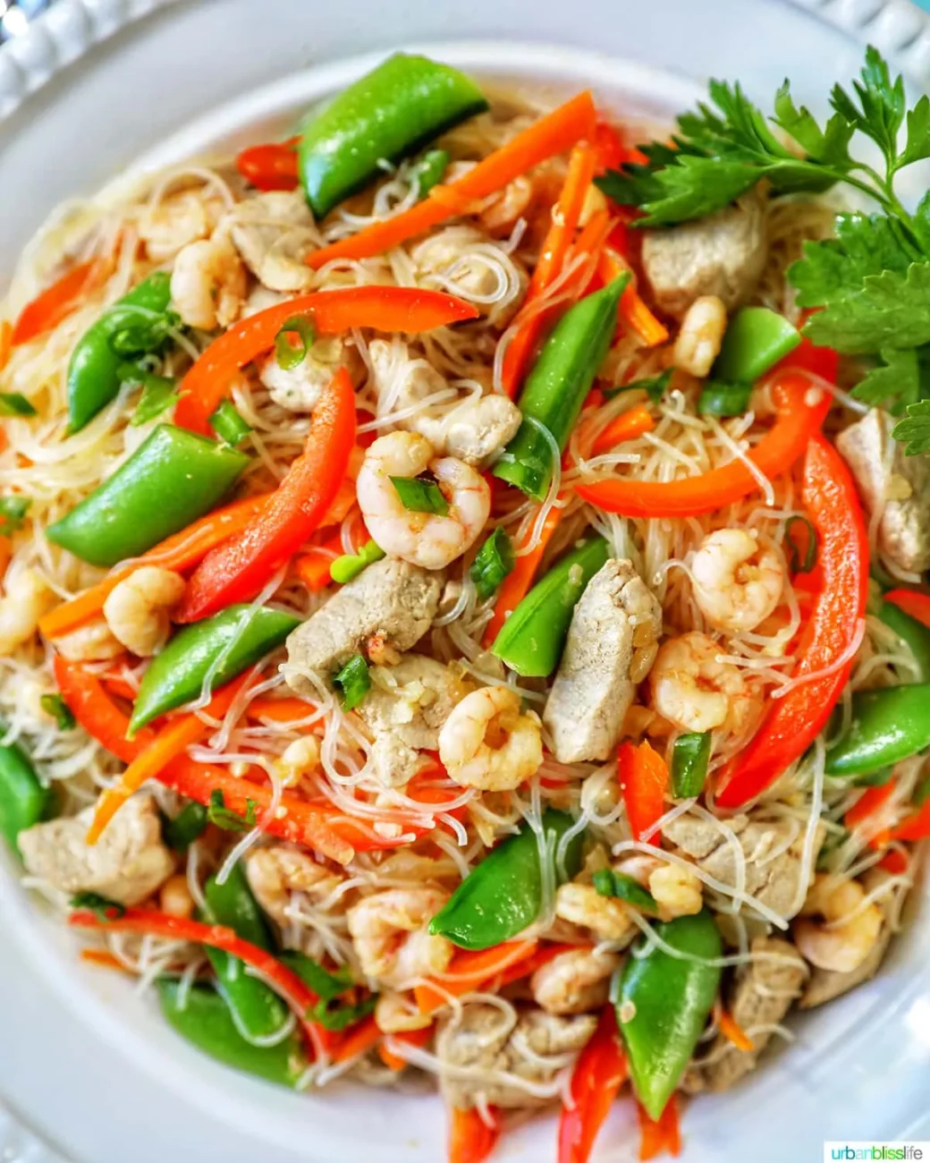 Filipino Pancit Bihon
