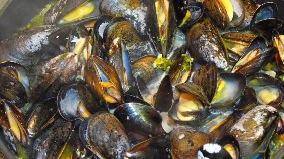 Fragrant Steamed Mussels In Vermouth With