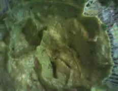 Fresh Springtime Green Guacamole Recipe