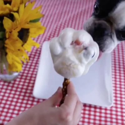 Frozen Banana Treats For Dogs