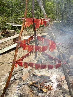 Fruit Pemmican