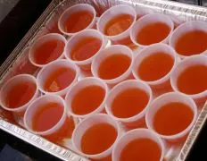 Fuzzy Navel Jello Shots