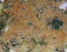 Good Broccoli Casserole