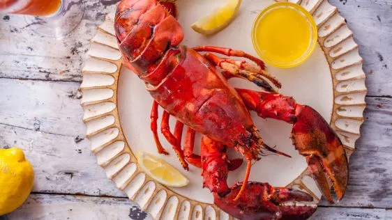 Grilled Lobster