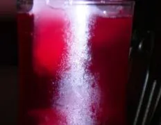 Hibiscus Punch