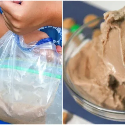 Homemade Ice Cream...in A Bag