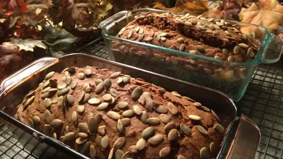 Homemade Pumpkin Loaf Inspired by Starbucks