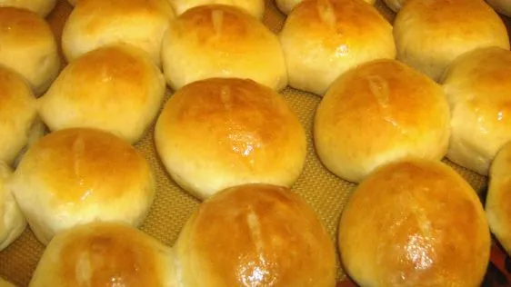 Honey Dinner Rolls