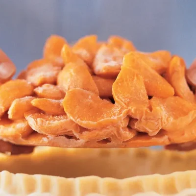 Juicy Fruit Pie